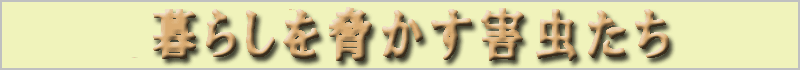 暮らしを脅かす害虫たち